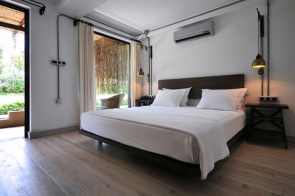 DZ Standard DZ Standard